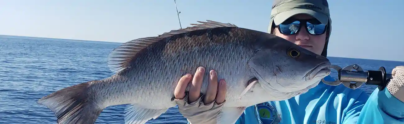 Nearshore and Local Reef Fishing in Fort Mayers, FL area