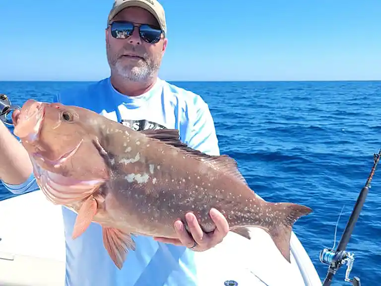 Fort Myers Fishing Charters